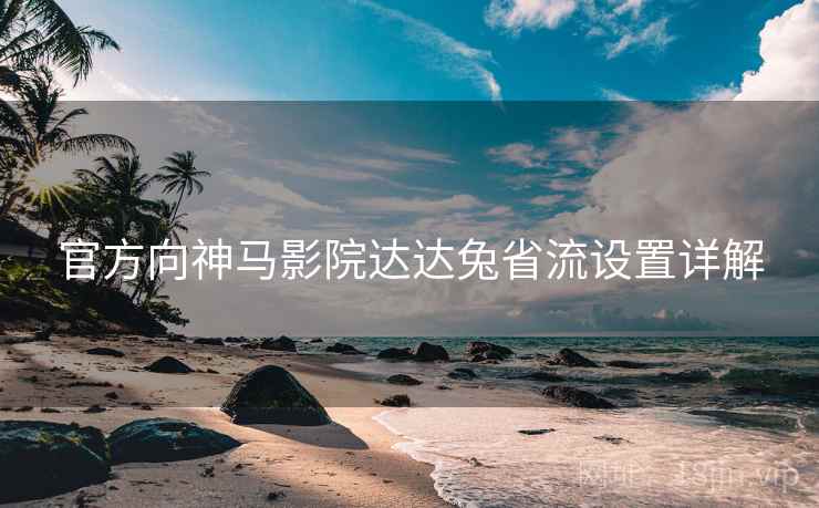 官方向神马影院达达兔省流设置详解