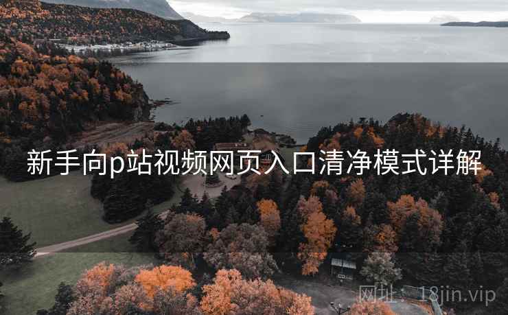新手向p站视频网页入口清净模式详解