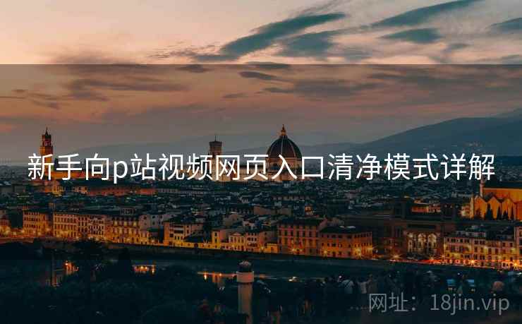新手向p站视频网页入口清净模式详解