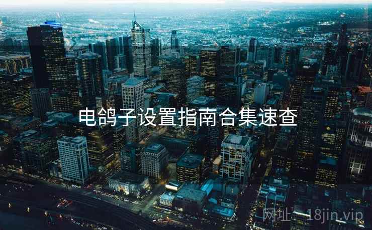 电鸽子设置指南合集速查