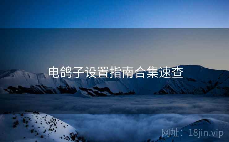 电鸽子设置指南合集速查