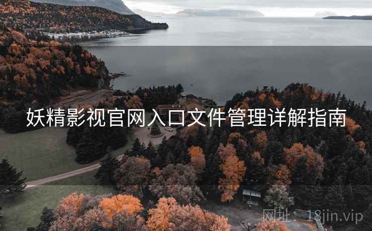 妖精影视官网入口文件管理详解指南