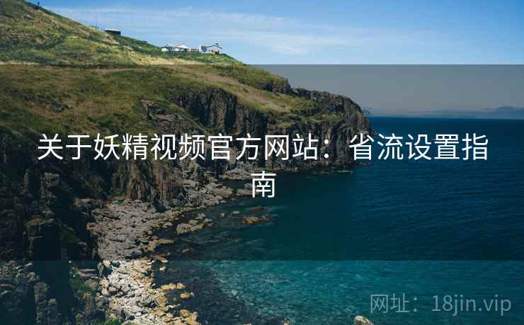 关于妖精视频官方网站：省流设置指南