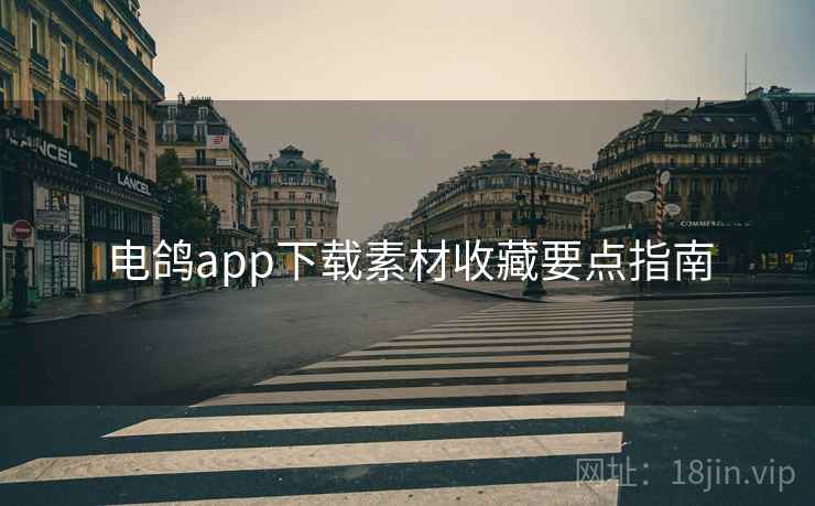 电鸽app下载素材收藏要点指南