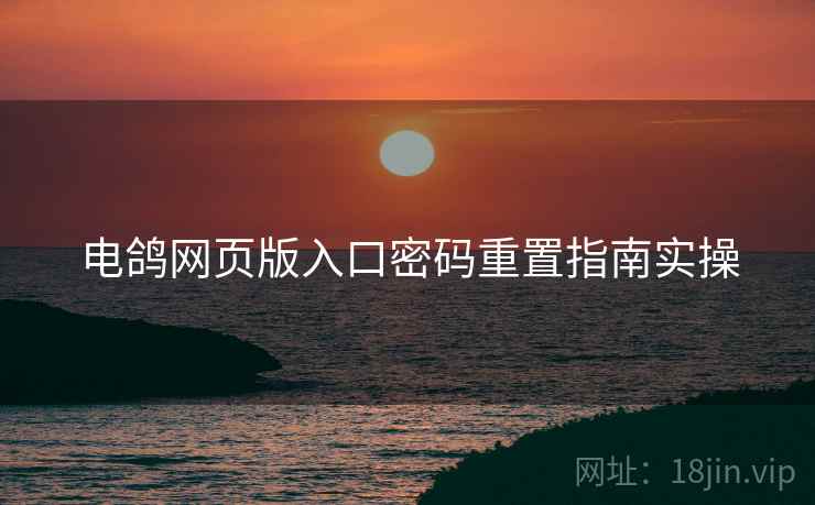 电鸽网页版入口密码重置指南实操