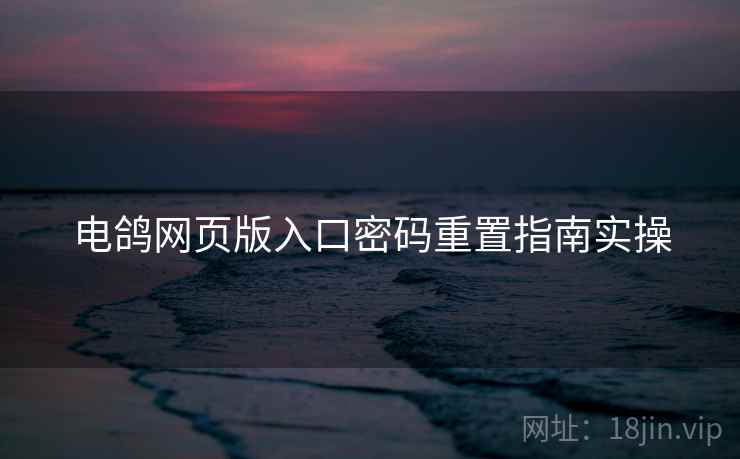 电鸽网页版入口密码重置指南实操