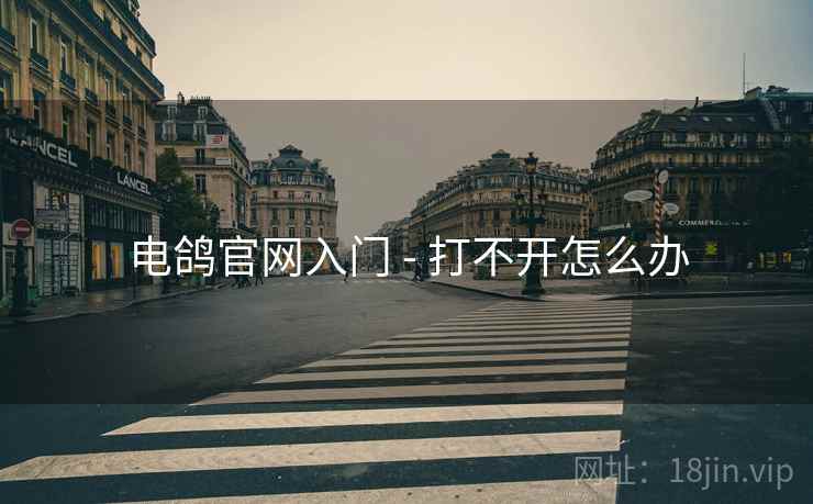 电鸽官网入门 - 打不开怎么办