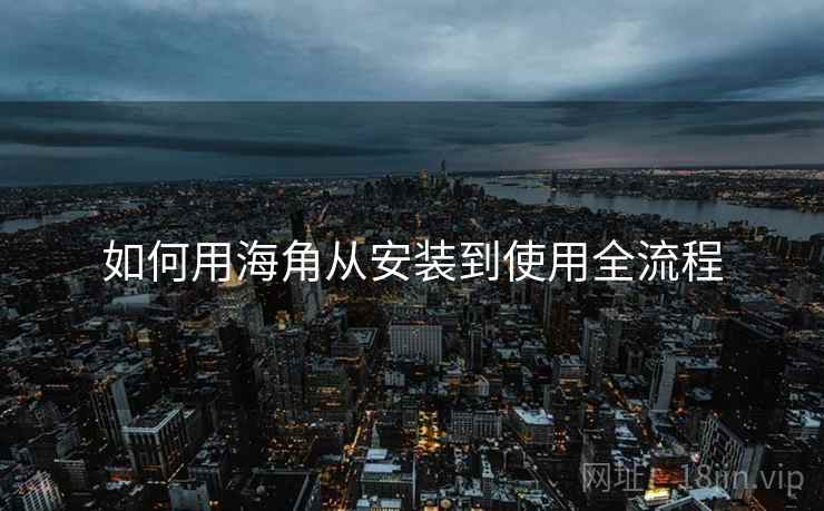 如何用海角从安装到使用全流程