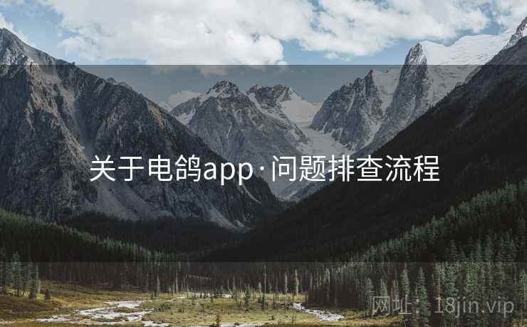 关于电鸽app·问题排查流程