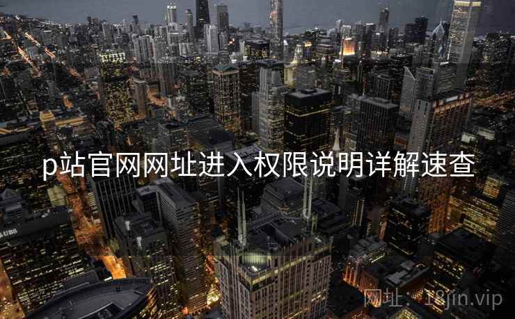 p站官网网址进入权限说明详解速查