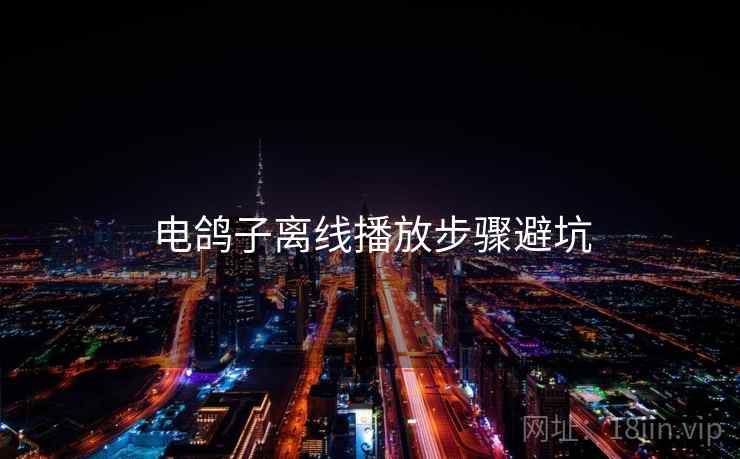 电鸽子离线播放步骤避坑