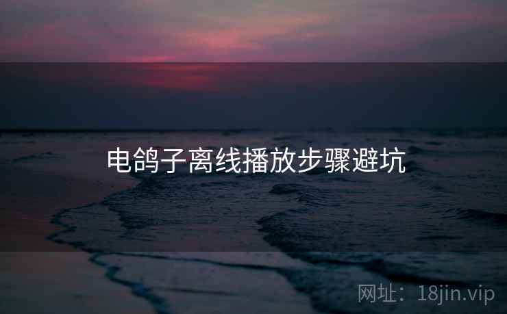 电鸽子离线播放步骤避坑