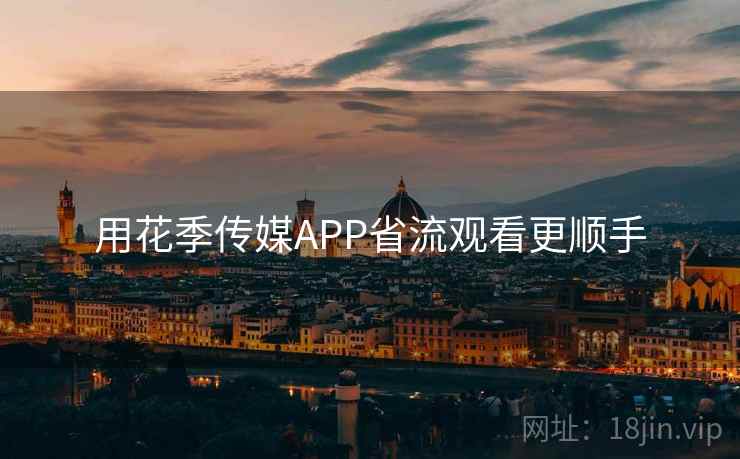 用花季传媒APP省流观看更顺手