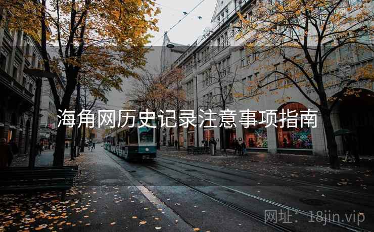 海角网历史记录注意事项指南