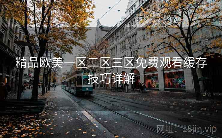 精品欧美一区二区三区免费观看缓存技巧详解