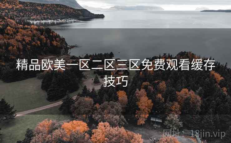 精品欧美一区二区三区免费观看缓存技巧