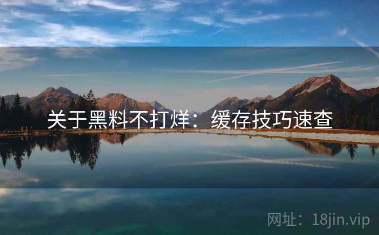 关于黑料不打烊：缓存技巧速查