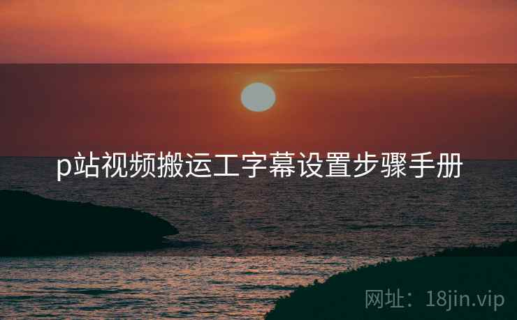 p站视频搬运工字幕设置步骤手册