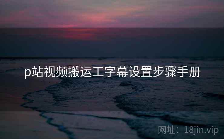 p站视频搬运工字幕设置步骤手册