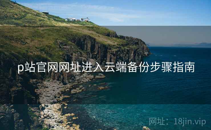 p站官网网址进入云端备份步骤指南