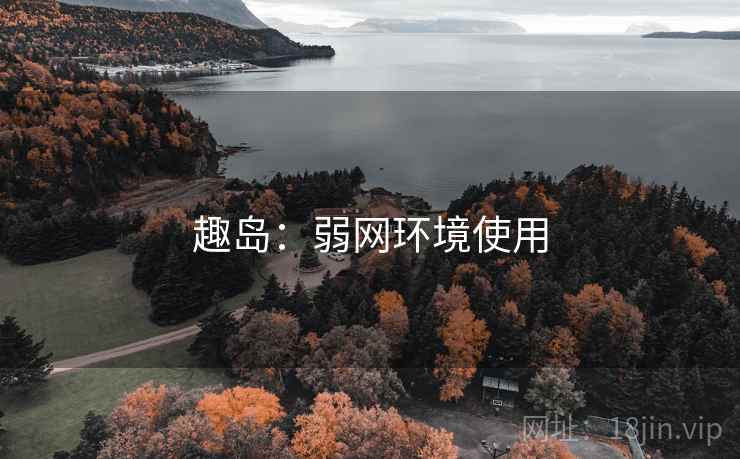 趣岛：弱网环境使用