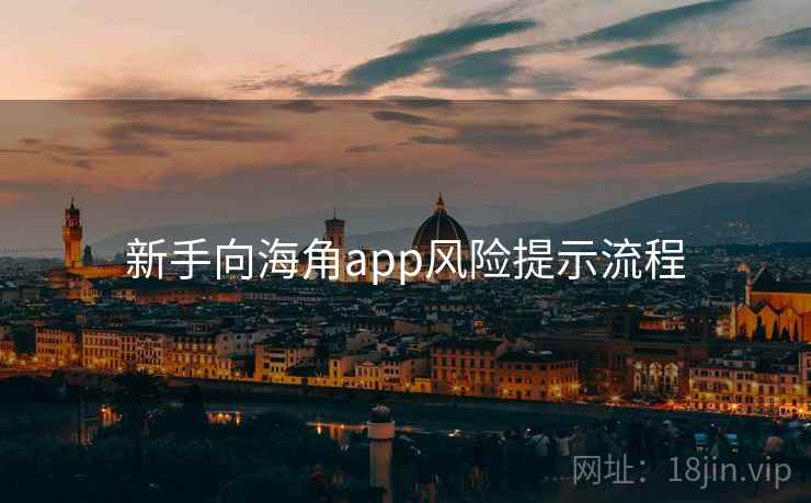 新手向海角app风险提示流程