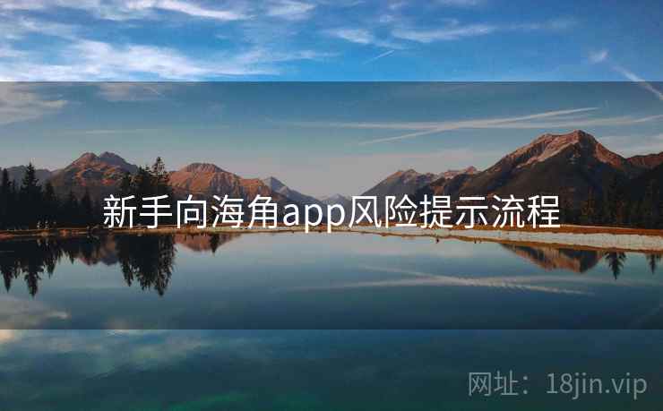 新手向海角app风险提示流程