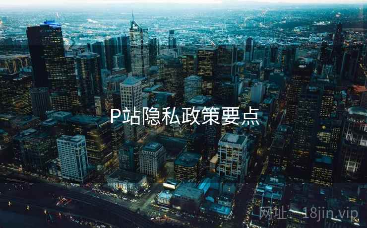 P站隐私政策要点