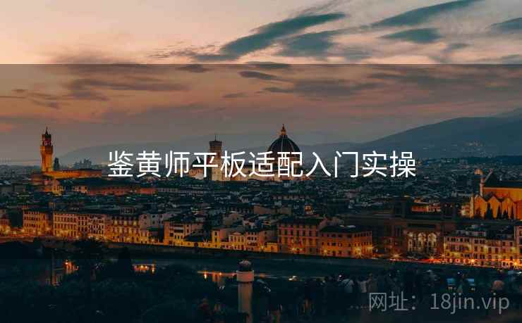 鉴黄师平板适配入门实操