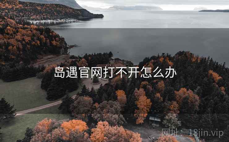 岛遇官网打不开怎么办