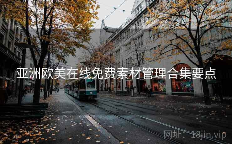 亚洲欧美在线免费素材管理合集要点