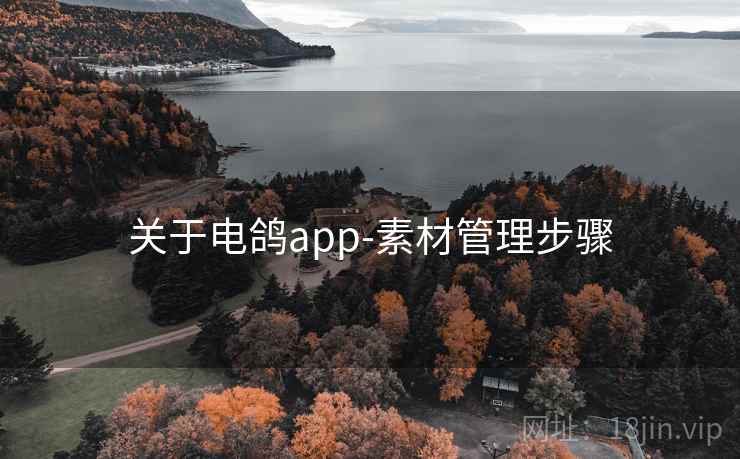 关于电鸽app-素材管理步骤